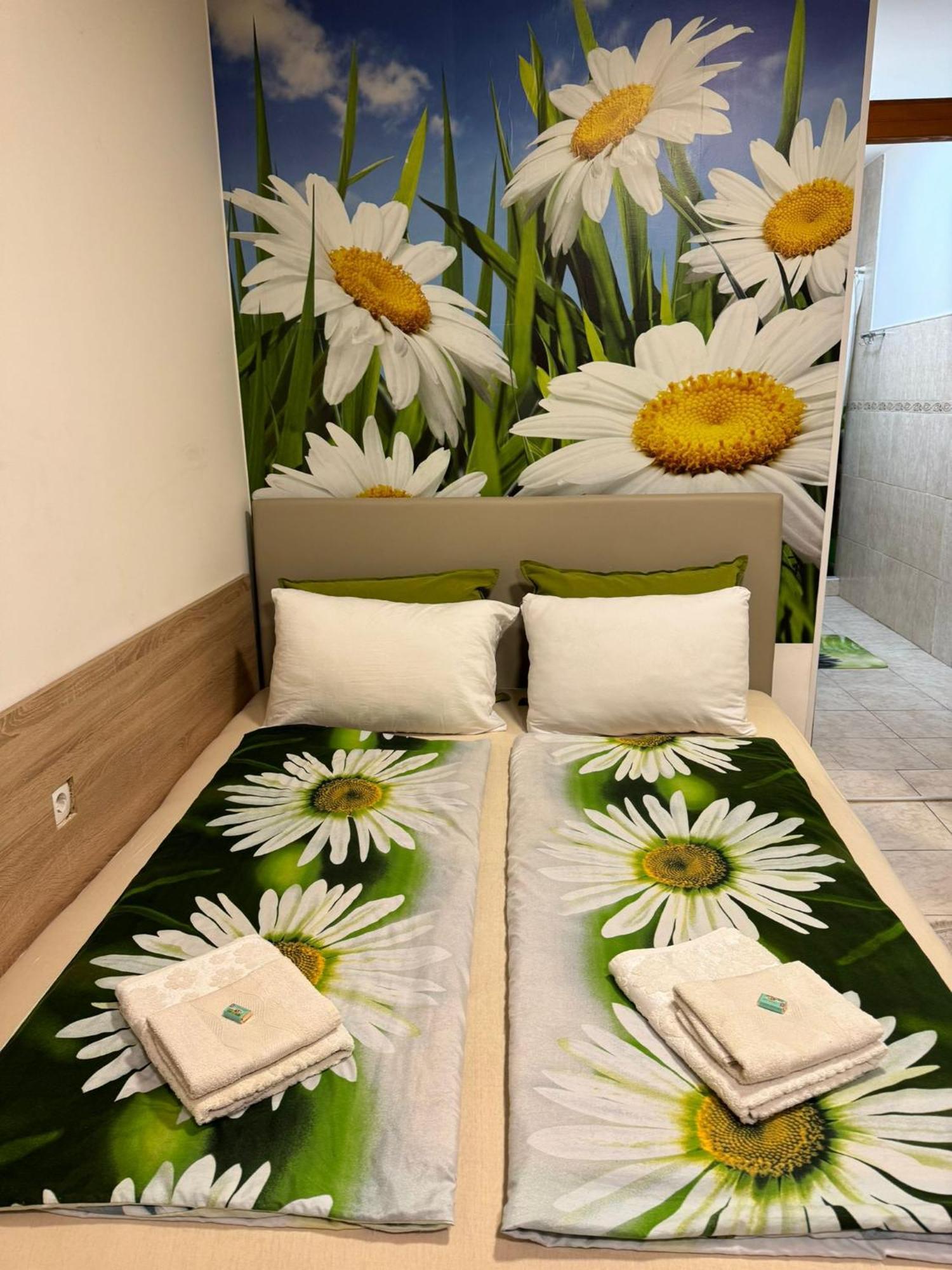 Nela Apartmani Ni Exteriér fotografie