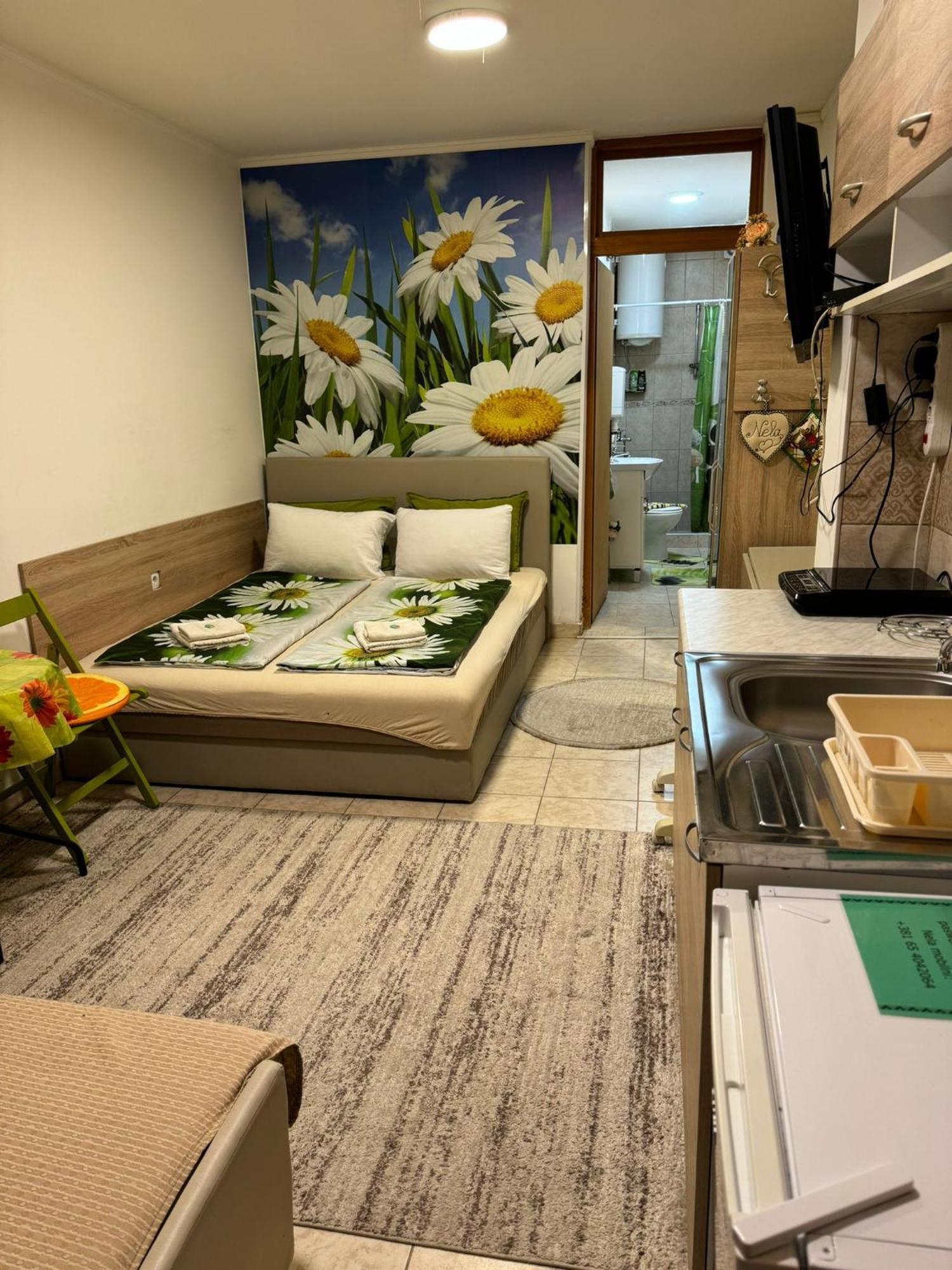 Nela Apartmani Ni Exteriér fotografie