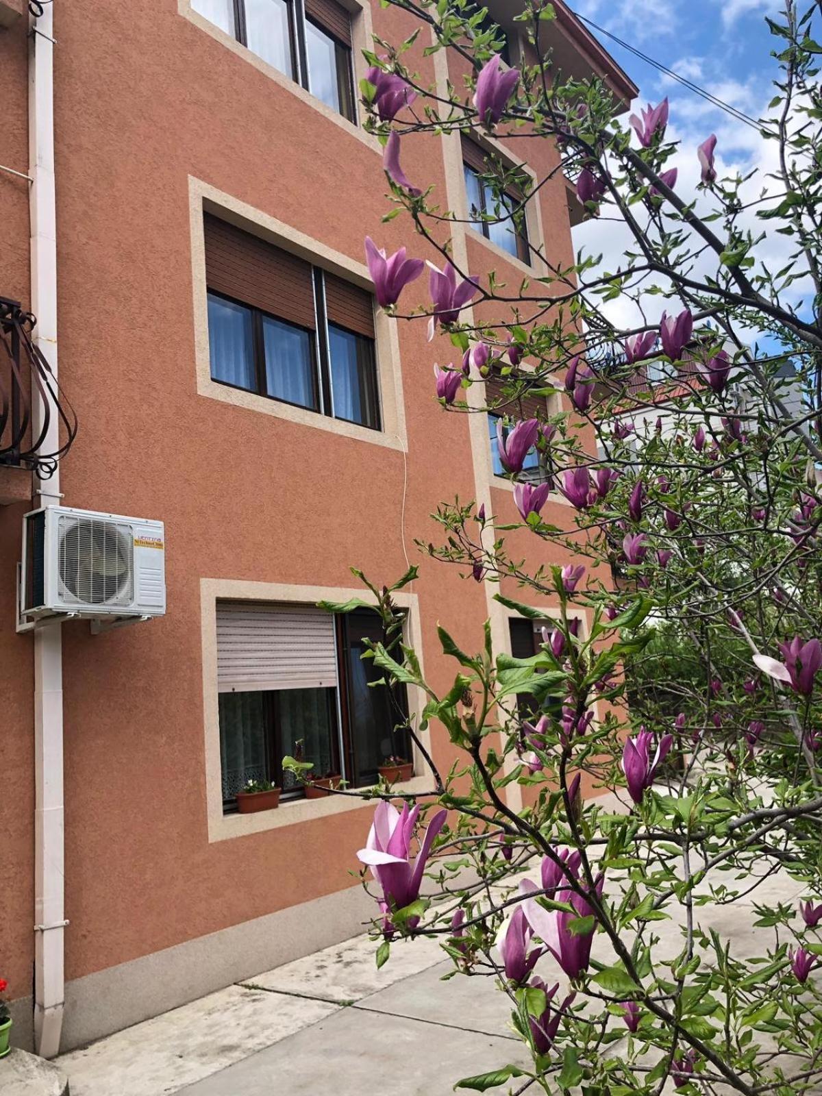 Nela Apartmani Ni Exteriér fotografie